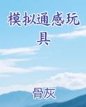 模拟通感玩具